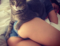 Envy the pussy