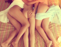 The perfect sandwich