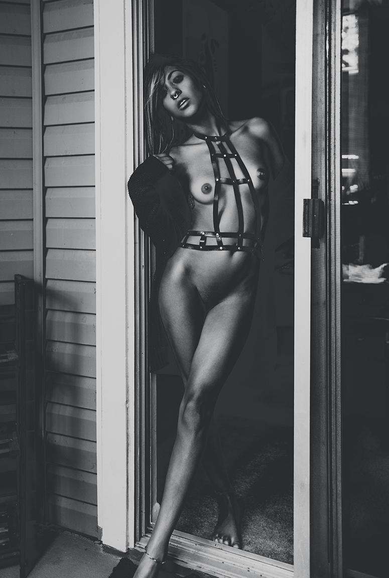 foxharvard-copyright-2015-fox-harvard-all