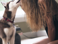 Sexy Iubesc Tot Ce E Roz