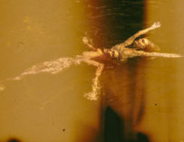 Sexy Nude Keslertran Once Upon A Time Amazing