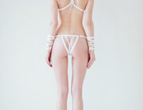 Thelingerieaddict Introducing Ludique Erotic