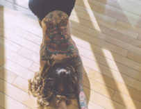 Vanstyles Naturally Lit With Madzilla Naked Boobs